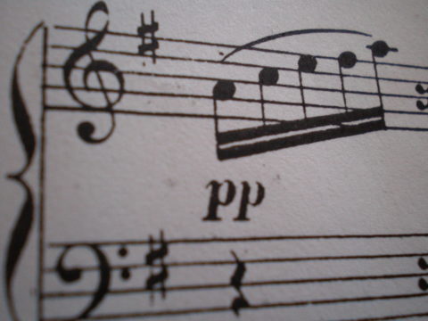 OLYMPUS DIGITAL CAMERA Harfe Noten